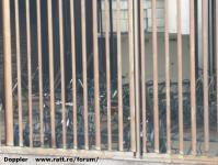 Imagine atasata: Openville - 2019.01.14 - 26.jpg